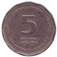Монета 5 новых шекелей. 2006 год, Израиль.
