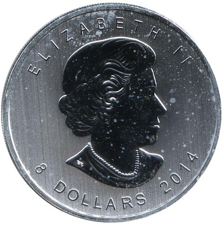 8dllarov-12.jpg 8dllarov-12.jpg