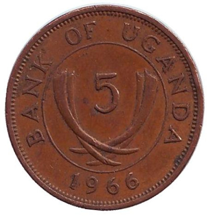 Монета 5 центов. 1966 год, Уганда. Монета 5 центов. 1966 год, Уганда.