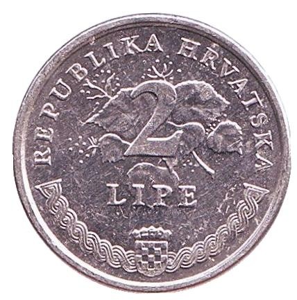 Монета 2 липы. 1998 год, Хорватия. Виноградная ветвь. Монета 2 липы. 1998 год, Хорватия. Виноградная ветвь.