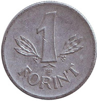 Монета 1 форинт. 1976 год, Венгрия. Монета 1 форинт. 1976 год, Венгрия.