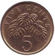 Монета 5 центов. 2010 год, Сингапур. Монстера деликатесная. Монета 5 центов. 2010 год, Сингапур. Монстера деликатесная.