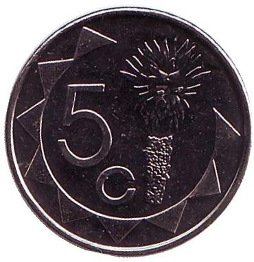 Монета 5 центов. 2015 год, Намибия. UNC. Цветок алоэ.