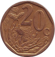 Монета 20 центов. 2008 год, ЮАР. Цветок протея. Монета 20 центов. 2008 год, ЮАР. Цветок протея.