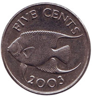 Монета 5 центов. 2003 год, Бермудские острова. Тропическая рыба (Ангел-королева). Монета 5 центов. 2003 год, Бермудские острова. Тропическая рыба (Ангел-королева).