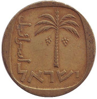 Монета 10 агор. 1968 год, Израиль. Пальма. Монета 10 агор. 1968 год, Израиль. Пальма.