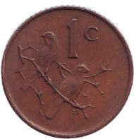 Монета 1 цент. 1967 год, ЮАР. (South Africa) Воробьи. Монета 1 цент. 1967 год, ЮАР. (South Africa) Воробьи.