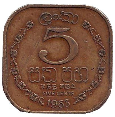 Монета 5 центов. 1963 год, Цейлон.