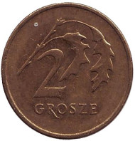 Монета 2 гроша, 2005 год, Польша. Дубовые листья. Монета 2 гроша, 2005 год, Польша. Дубовые листья.
