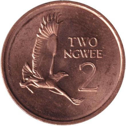 Монета 2 нгве. 1982 год, Замбия. Боевой орёл.