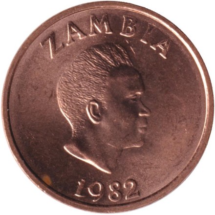 Монета 2 нгве. 1982 год, Замбия. Боевой орёл.