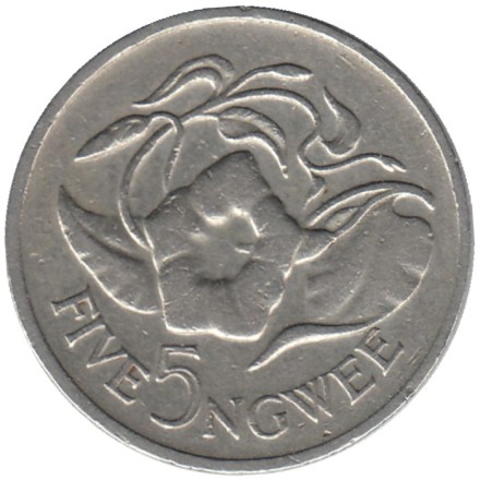 Монета 5 нгве. 1982 год, Замбия. Цветок "Дневная красавица". 