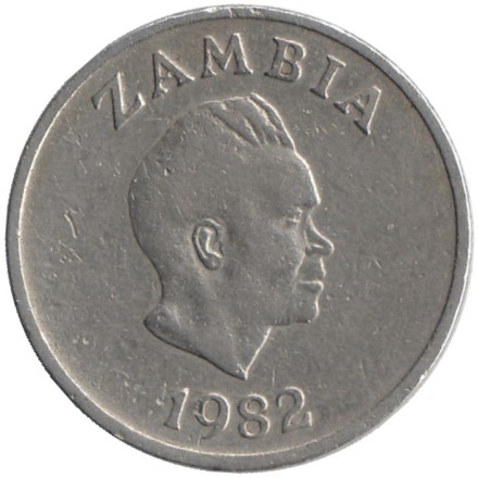 Монета 5 нгве. 1982 год, Замбия. Цветок "Дневная красавица". 