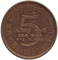 Монета 5 рупий. 2013 год, Шри-Ланка. Монета 5 рупий. 2013 год, Шри-Ланка.
