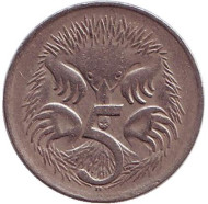 Монета 5 центов. 1966 год, Австралия. Ехидна. Монета 5 центов. 1966 год, Австралия. Ехидна.