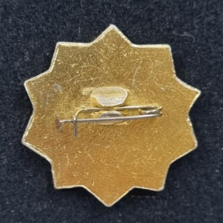 ОСВОД (Общество спасания на водах). Членский значок. СССР.