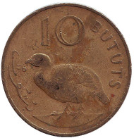 Монета 10 бутутов. 1971 год, Гамбия. Турач (франколин). Монета 10 бутутов. 1971 год, Гамбия. Турач (франколин).