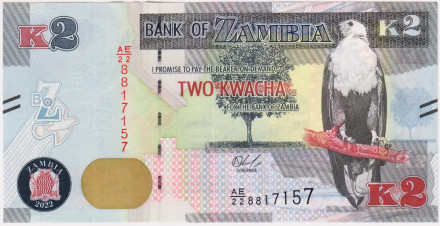 Банкнота 2 квача. 2022 год, Замбия. Орлан-крикун.