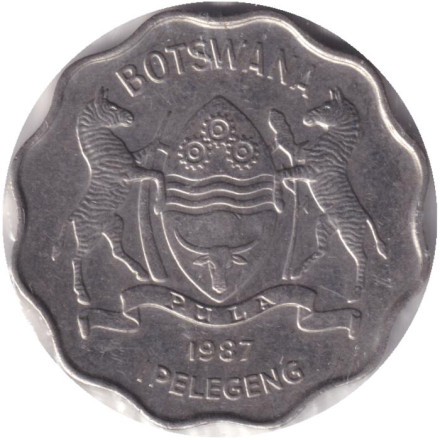 Монета 1 пула. 1987 год, Ботсвана. Зебра.