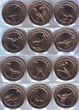 Птицы Анатолии. Набор из 12 монет. 1 куруш. 2019 год, Турция. Тип 1 (центр - латунь, кольцо - м/н). 