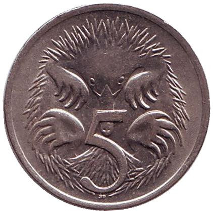 Монета 5 центов. 1969 год, Австралия. Ехидна.