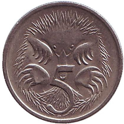 Монета 5 центов. 1998 год, Австралия. Ехидна.