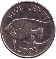 Монета 5 центов. 2005 год, Бермудские острова. Тропическая рыба (Ангел-королева). Монета 5 центов. 2005 год, Бермудские острова. Тропическая рыба (Ангел-королева).