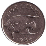 Монета 5 центов. 1984 год, Бермудские острова. Тропическая рыба (Ангел-королева). Монета 5 центов. 1984 год, Бермудские острова. Тропическая рыба (Ангел-королева).