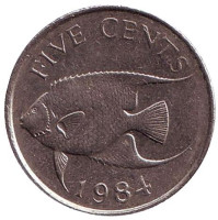 Тропическая рыба (Ангел-королева). Монета 5 центов. 1984 год, Бермудские острова.