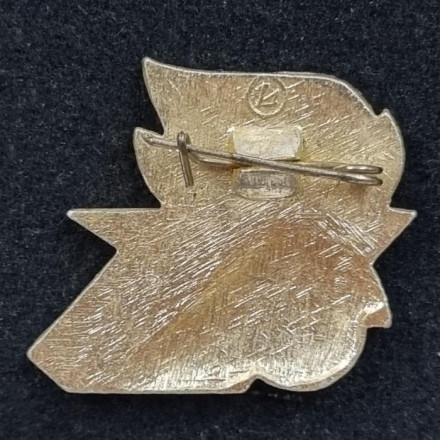 Дружина юных пожарных. Значок. СССР. Дружина юных пожарных. Значок. СССР.