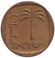 Монета 10 агор. 1970 год, Израиль. Пальма. Монета 10 агор. 1970 год, Израиль. Пальма.