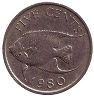 Монета 5 центов. 1980 год, Бермудские острова. Тропическая рыба (Ангел-королева). Монета 5 центов. 1980 год, Бермудские острова. Тропическая рыба (Ангел-королева).