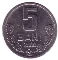 Монета 5 бани. 2008 год, Молдавия. Монета 5 бани. 2008 год, Молдавия.