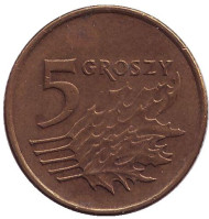 Монета 5 грошей. 1999 год, Польша. Дубовые листья. Монета 5 грошей. 1999 год, Польша. Дубовые листья.
