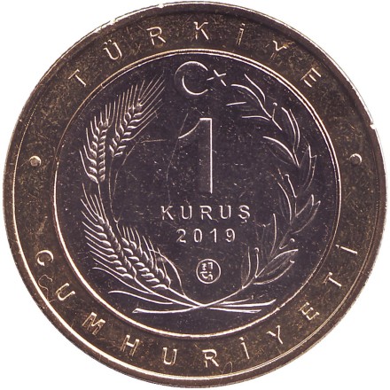 Птицы Анатолии. Набор из 12 монет. 1 куруш. 2019 год, Турция. Тип 2 (центр - м/н, кольцо - латунь). 