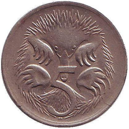 Монета 5 центов. 1970 год, Австралия. Ехидна.