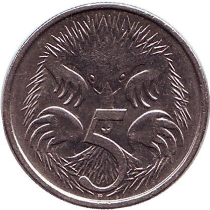 Монета 5 центов. 2011 год, Австралия. Ехидна.