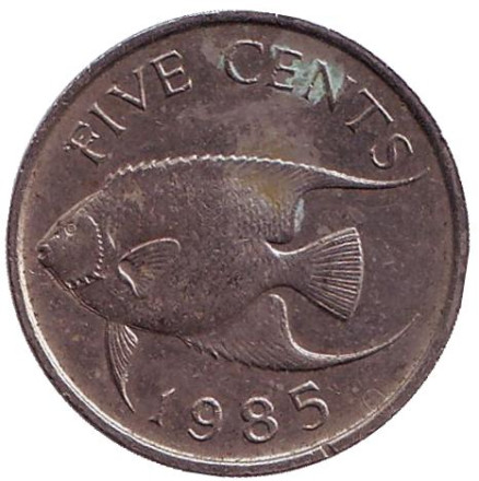Монета 5 центов. 1985 год, Бермудские острова. Тропическая рыба (Ангел-королева).