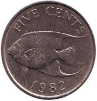 Монета 5 центов. 1982 год, Бермудские острова. Тропическая рыба (Ангел-королева). Монета 5 центов. 1982 год, Бермудские острова. Тропическая рыба (Ангел-королева).