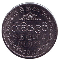 Монета 1 рупия. 2016 год, Шри-Ланка. Монета 1 рупия. 2016 год, Шри-Ланка.