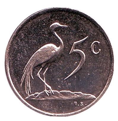 Монета 5 центов. 1984 год, Южная Африка. UNC. Африканская красавка.