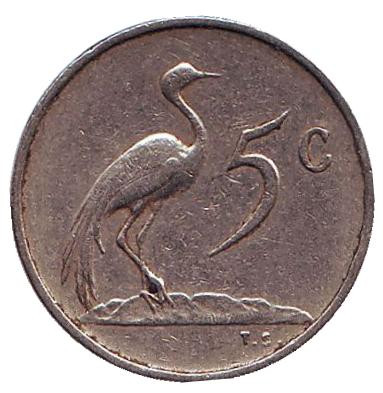 Монета 5 центов. 1970 год, Южная Африка. Африканская красавка.