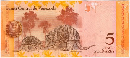 Банкнота 5 боливаров. 2013 год, Венесуэла.