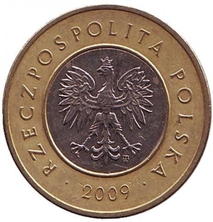 2009-1qc.jpg