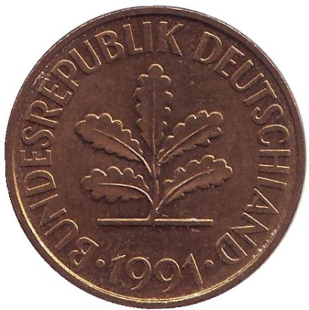 Монета 10 пфеннигов. 1991 год (A), ФРГ. Дубовые листья. Монета 10 пфеннигов. 1991 год (A), ФРГ. Дубовые листья.