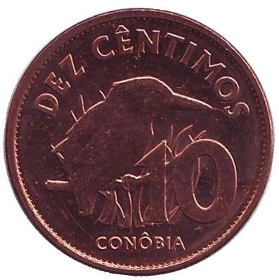 Монета 10 сантимов. 2017 год, Сан-Томе и Принсипи. Большеклювая иволга.