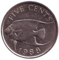 Тропическая рыба (Ангел-королева). Монета 5 центов. 1988 год, Бермудские острова.