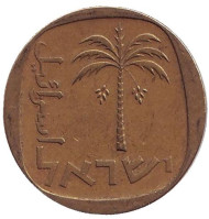 Монета 10 агор. 1973 год, Израиль. Пальма. Монета 10 агор. 1973 год, Израиль. Пальма.