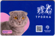 Электронная карта "Тройка". 2020 год. Россия, Москва. Серия "Ищет дом". Багратион. Электронная карта "Тройка". 2020 год. Россия, Москва. Серия "Ищет дом". Багратион.