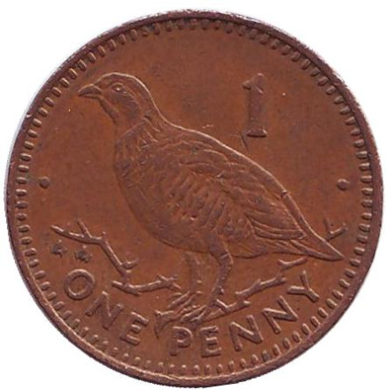 Монета 1 пенни, 1993 год, Гибралтар. (AA) Берберская куропатка.